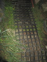 IMG_1164.JPG