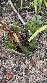 IMG_0657.jpeg