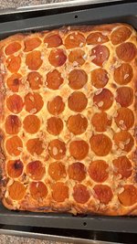 IMG_0634.jpeg