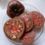 IMG_0669.jpeg