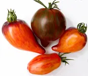 Ernte.webp