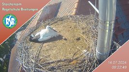 IMG_1542.jpeg