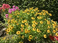 20240709_140330.webp