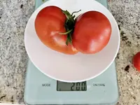 20240714_145335.jpg