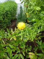DSC08019.webp