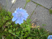 DSC08024.jpg