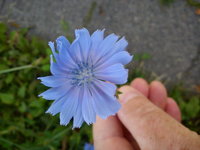 DSC08025.jpg