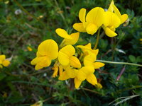 DSC08027.jpg