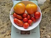 20240714_201612.webp