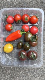 IMG_0687.jpeg