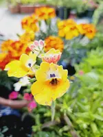 20240714_161440.webp