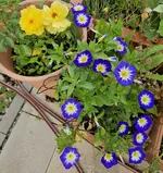 20240715_215726.webp