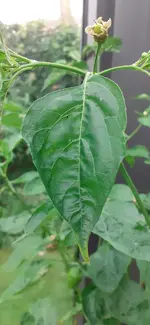 20240716_080845.webp