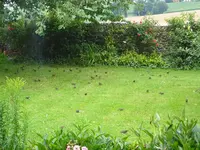 DSC03597.JPG