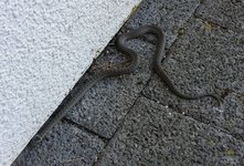 Schling1.jpg