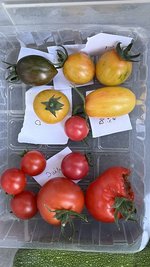 IMG_0706.jpeg