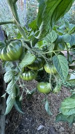 IMG_0698.jpeg