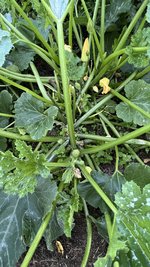 IMG_0692.jpeg
