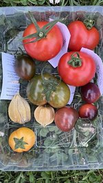 IMG_0711.jpeg