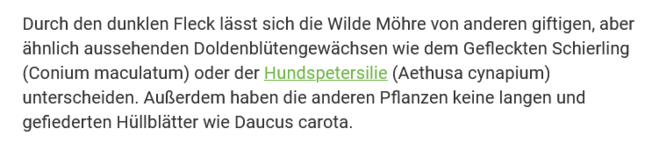 Screenshot 2024-07-17 at 22-38-43 Wilde Möhre pflanzen und pflegen - Mein schöner Garten.png