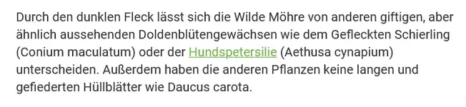 Screenshot 2024-07-17 at 22-38-43 Wilde Möhre pflanzen und pflegen - Mein schöner Garten.webp