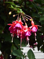 P1020185.JPG