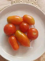 IMG_20240717_092757.webp