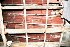 IMG_1636.webp