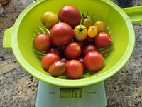 20240718_141352.webp
