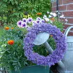 034.webp