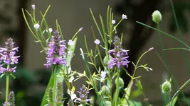 P1460041.webp