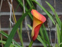DSC04937.JPG