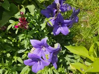 20240719_124446.webp
