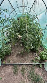 IMG_0735.jpeg