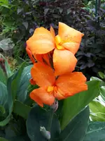 20240717_103244.webp