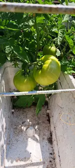 20240720_101744.webp