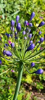 20240720_102142.webp
