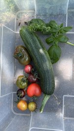 IMG_0778.jpeg