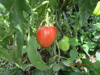 IMG_1006.JPG