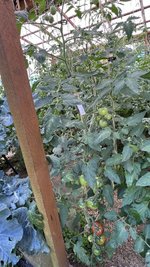 IMG_0752.jpeg