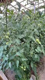 IMG_0754.jpeg
