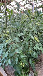 IMG_0754.jpeg