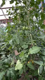 IMG_0756.jpeg