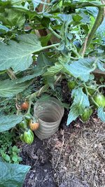 IMG_0762.jpeg