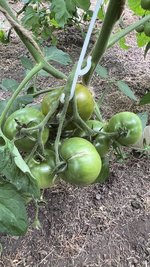 IMG_0767.jpeg