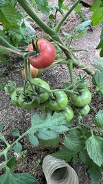 IMG_0769.jpeg