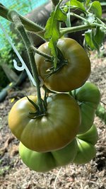 IMG_0777.jpeg