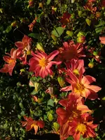 IMG_20231015_152047.webp