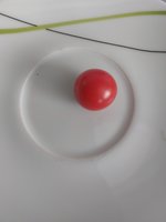 20240720_081007.jpg