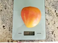 20240720_172528.jpg